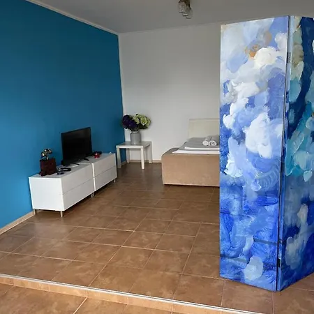Apartment Casa Arts Vadu