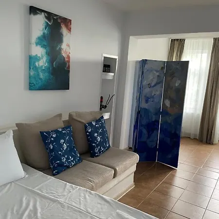 Apartment Casa Arts Vadu
