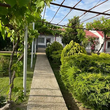Apartment Casa Arts