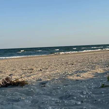 Appartement Casa Arts Vadu