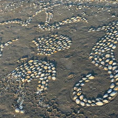 Casa Arts Appartement *