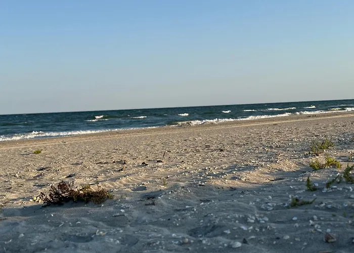 Appartement Casa Arts Vadu