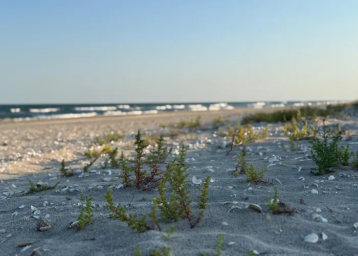 Casa Arts Appartement