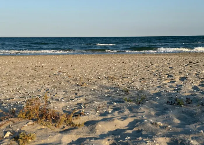 Appartement Casa Arts