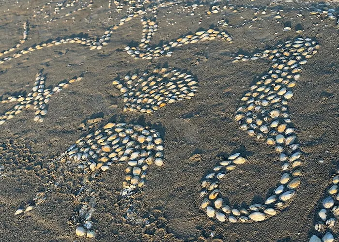 Casa Arts Appartement *