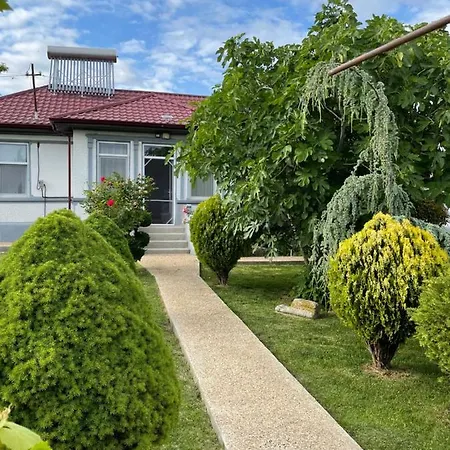 Casa Arts Vadu