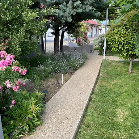 Casa Arts Apartment *